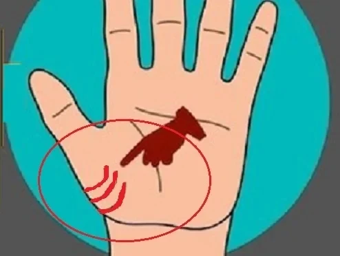 10 Dấu Hiệu Trong Lòng Bàn Tay Cho Thấy Phước Trời Ban