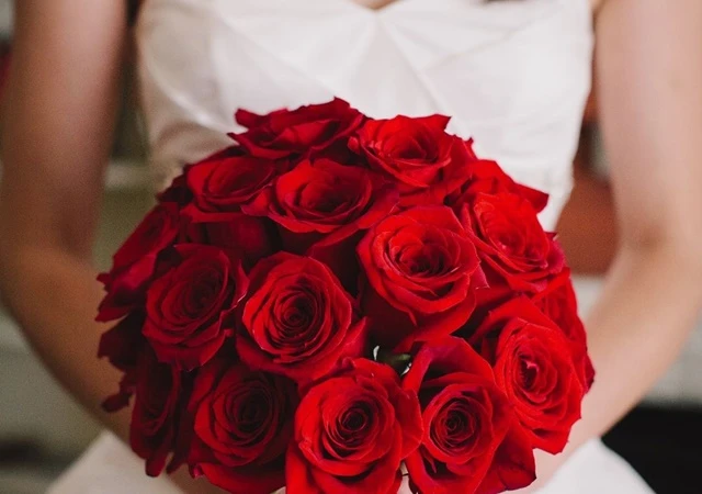 Hoa hồng nhung biểu trưng cho tình yêu nồng nàn