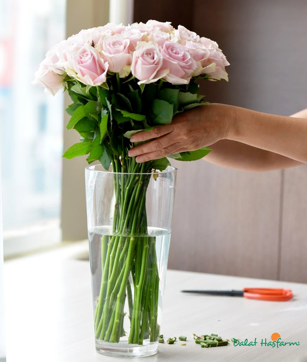 Hướng dẫn cách cắm hoa Hồng thả bình cực đơn giản