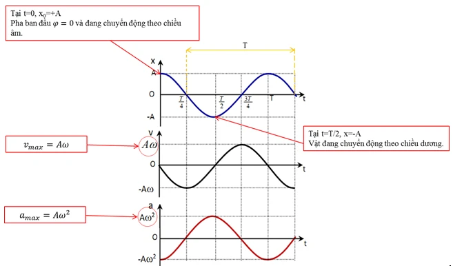 Lý thuyết và bài tập Dao động điều hòa