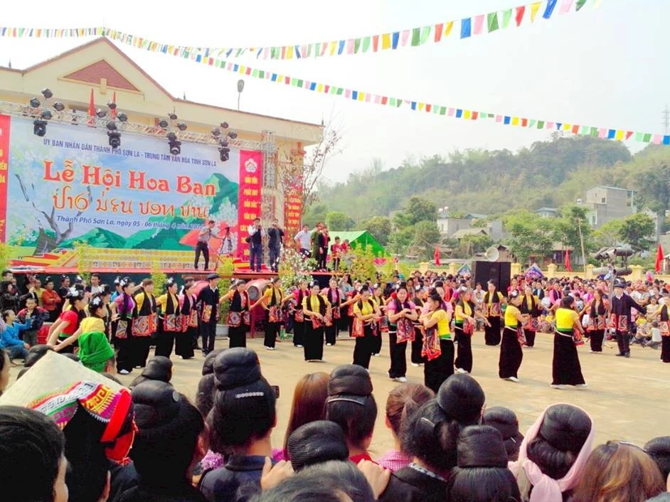 Tháng 3 hoa ban nở, bỡ ngỡ lạc giữa rừng hoa