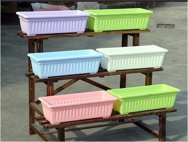 Cách trồng và chăm sóc dâu tây tại nhà đơn giản, cho quả chín mọng