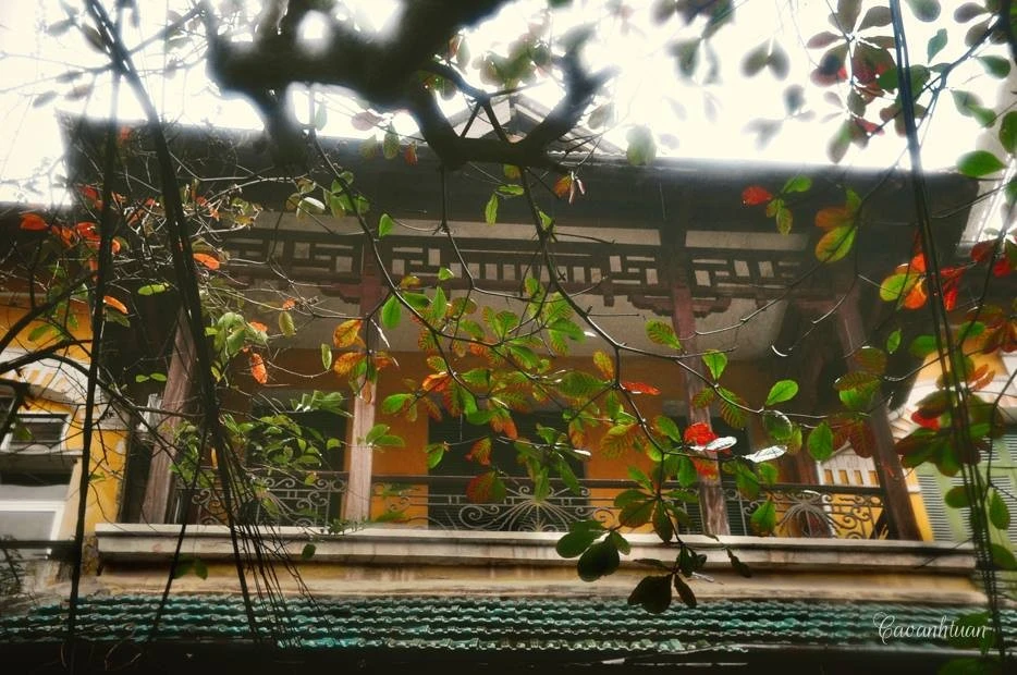 VĂN HÓA THỦ ĐÔ - NHỮNG ĐIỀU THÚ VỊ VỀ HÀ NỘI - haiaubus