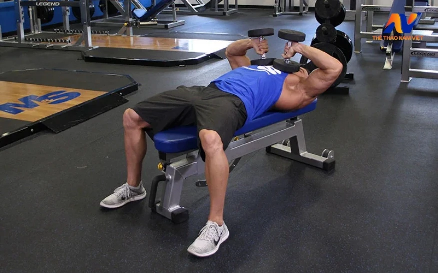 10 bài tập tay sau với tạ đơn hiệu quả tại nhà