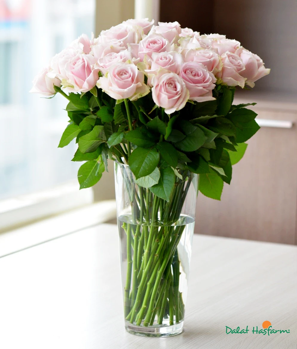 Hướng dẫn cách cắm hoa Hồng thả bình cực đơn giản