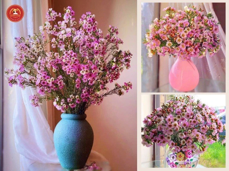 Cách cắm hoa thanh liễu ngày Tết tươi lâu, mang tới tài lộc