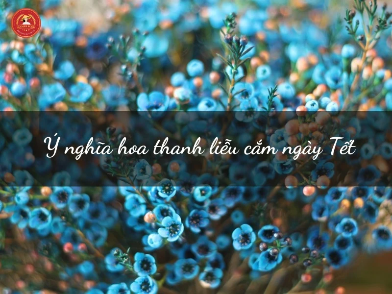 Cắm hoa thanh liễu: Đem vẻ đẹp thanh lịch vào nhà