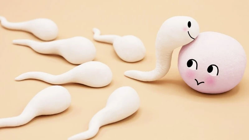 [Giải đáp] Tinh trùng dính bên ngoài liệu có thai không?