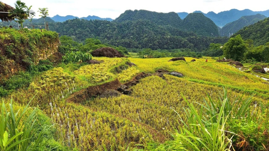 Pu Luong, Thanh Hoa: The hidden paradise | Vietnam Tourism