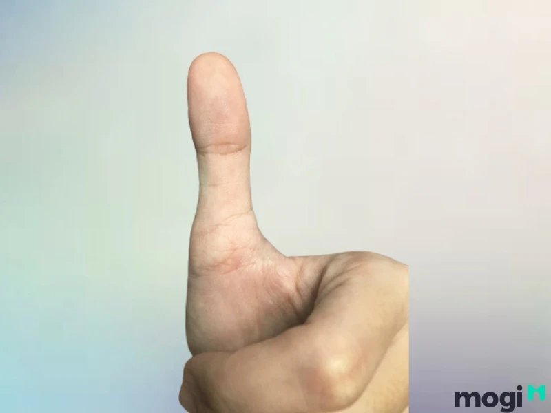 Hoa Tay Là Gì? Luận Đoán Vận Mệnh Của Mỗi Người Qua Cách Bói Hoa Tay