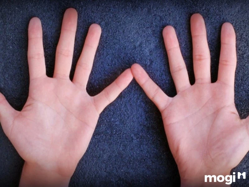 Cách xem hoa tay để hiểu tính cách và vận mệnh