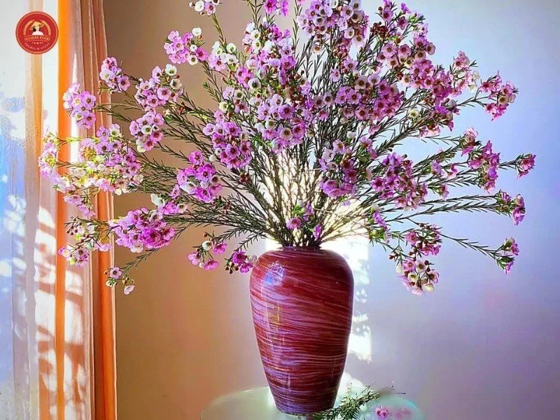 Cách cắm hoa thanh liễu ngày Tết tươi lâu, mang tới tài lộc