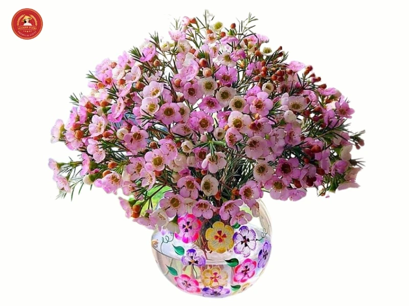 Cách cắm hoa thanh liễu ngày Tết tươi lâu, mang tới tài lộc