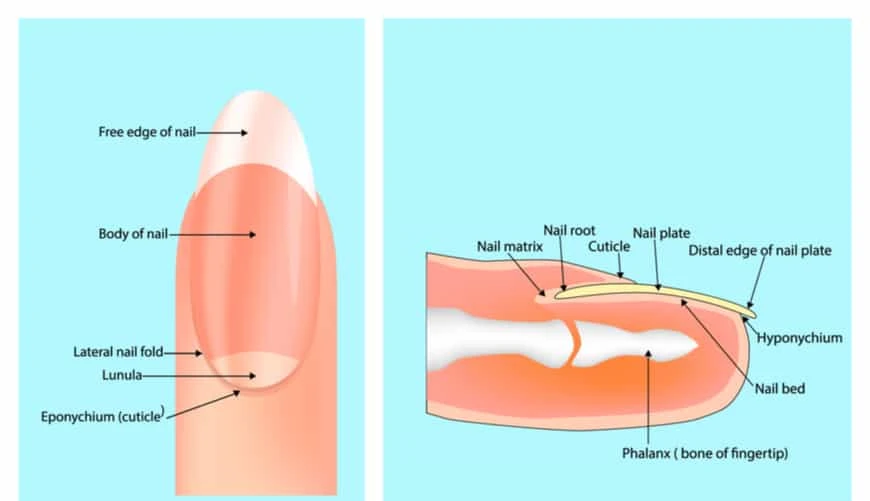Nguyên nhân và cách khắc phục móng tay bị vàng