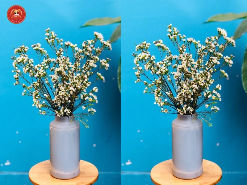 Cách cắm hoa thanh liễu ngày Tết tươi lâu, mang tới tài lộc