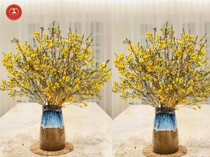 Cách cắm hoa thanh liễu ngày Tết tươi lâu, mang tới tài lộc