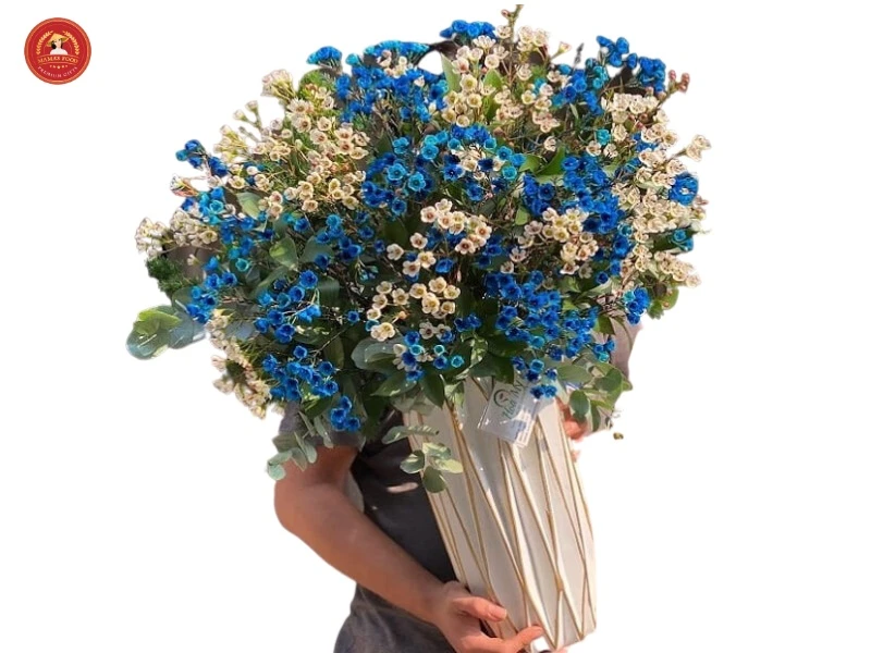 Cách cắm hoa thanh liễu ngày Tết tươi lâu, mang tới tài lộc