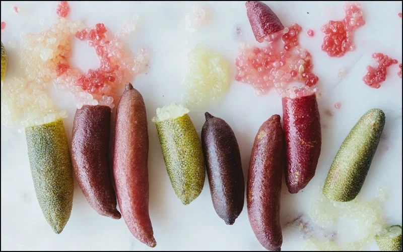 Khám Phá Chanh Ngón Tay: Trái Cây Độc Đáo