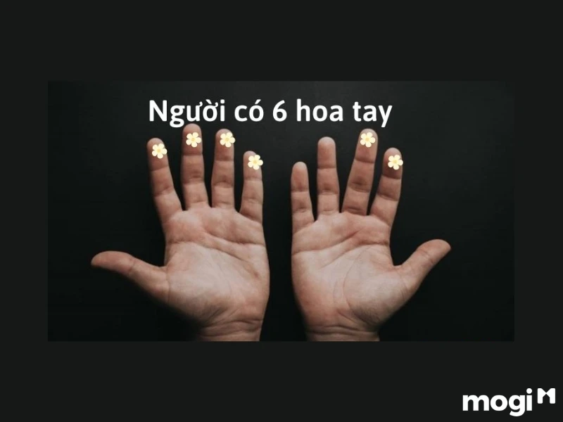 Hoa Tay Là Gì? Luận Đoán Vận Mệnh Của Mỗi Người Qua Cách Bói Hoa Tay