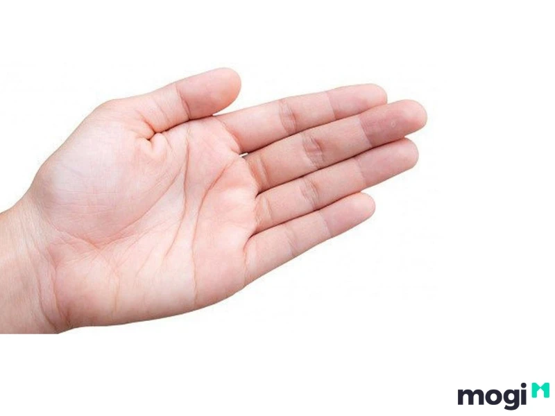 Hoa Tay Là Gì? Luận Đoán Vận Mệnh Của Mỗi Người Qua Cách Bói Hoa Tay