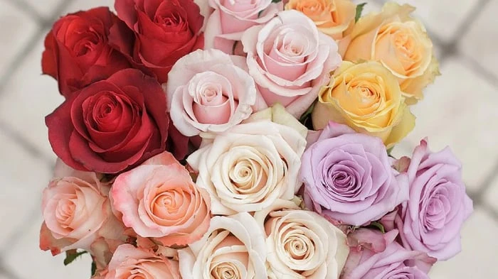 Hình nền ảnh hoa đẹp tự nhiên cho không gian thêm tươi mới