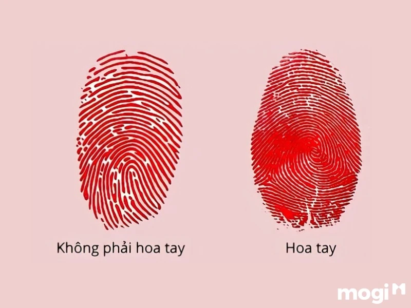 Hoa Tay Là Gì? Luận Đoán Vận Mệnh Của Mỗi Người Qua Cách Bói Hoa Tay