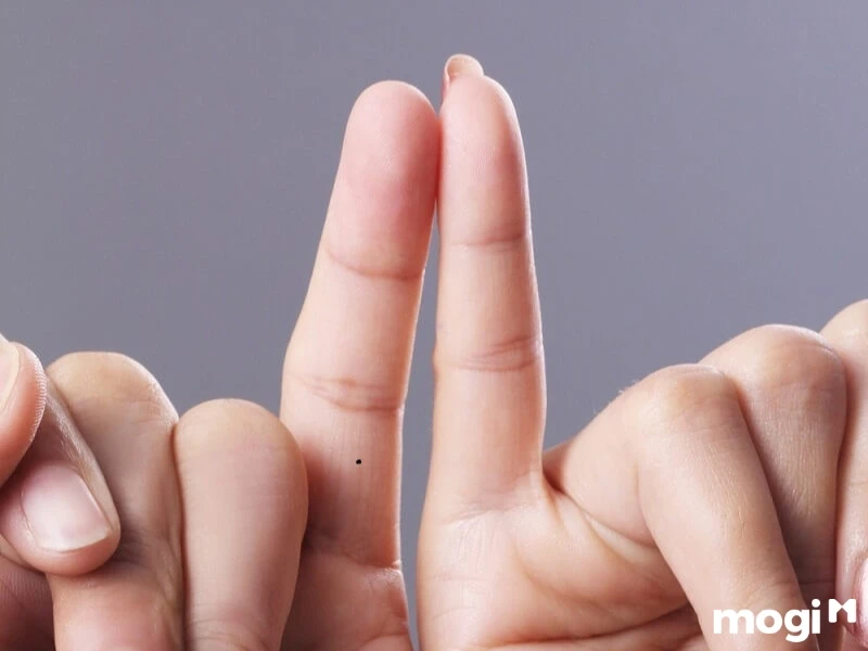 Hoa Tay Là Gì? Luận Đoán Vận Mệnh Của Mỗi Người Qua Cách Bói Hoa Tay