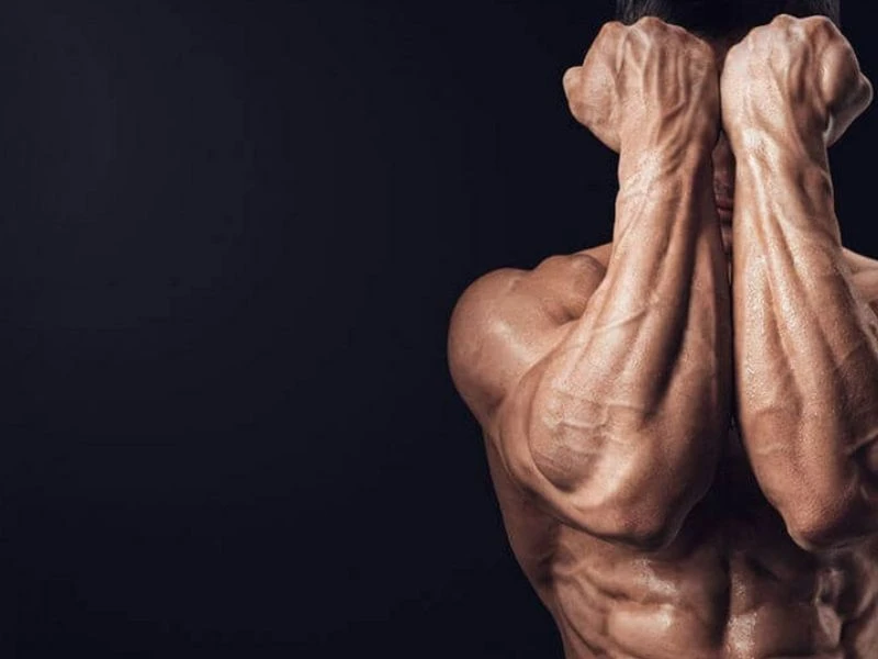 9 Bài tập cơ cẳng tay hiệu quả nhất cho nam