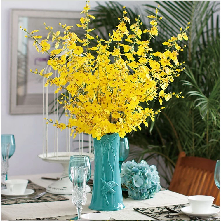 Cây hoàng yến - ý nghĩa, đặc điểm, công dụng và cách trồng