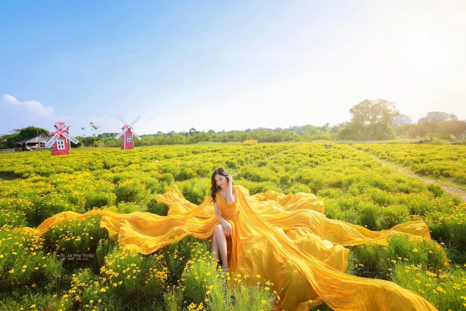 Phim trường Thảo nguyên hoa Long Biên - thiên đường check in sống ảo