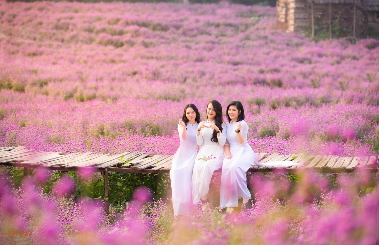 Khám Phá Thảo Nguyên Hoa Long Biên Tại Thạch Cầu