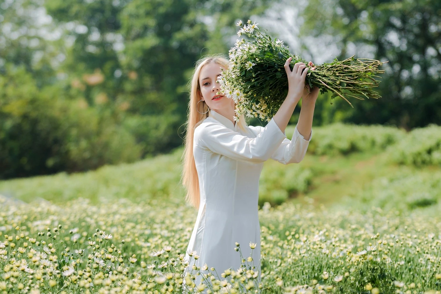 Phim trường Thảo nguyên hoa Long Biên - thiên đường check in sống ảo