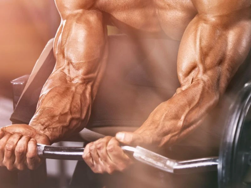 9 Bài tập cơ cẳng tay hiệu quả nhất cho nam