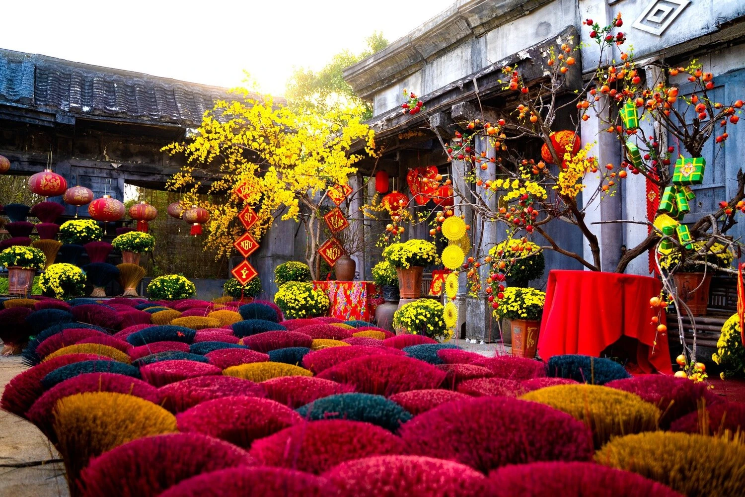 Phim trường Thảo nguyên hoa Long Biên - thiên đường check in sống ảo