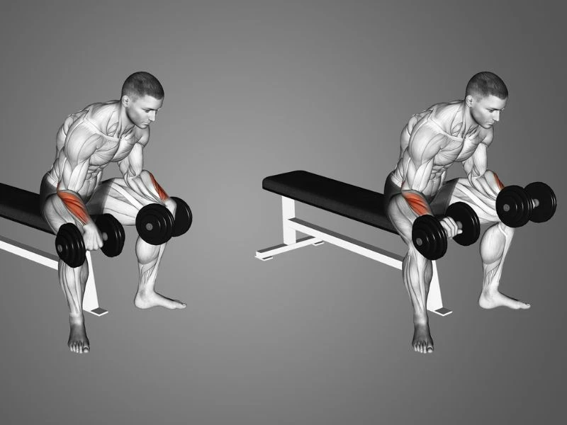 9 Bài tập cơ cẳng tay hiệu quả nhất cho nam