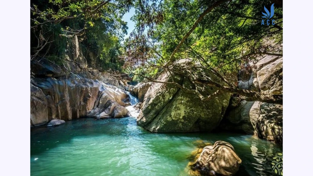 Thị xã Ninh Hòa thuộc huyện nào?