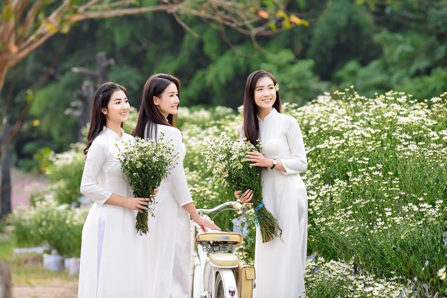 Phim trường Thảo nguyên hoa Long Biên - thiên đường check in sống ảo