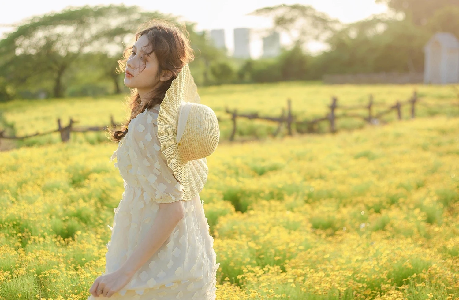 Phim trường Thảo nguyên hoa Long Biên - thiên đường check in sống ảo