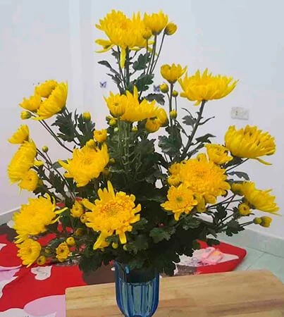 5 Lưu Ý Khi Cắm Hoa Cúc Bàn Thờ