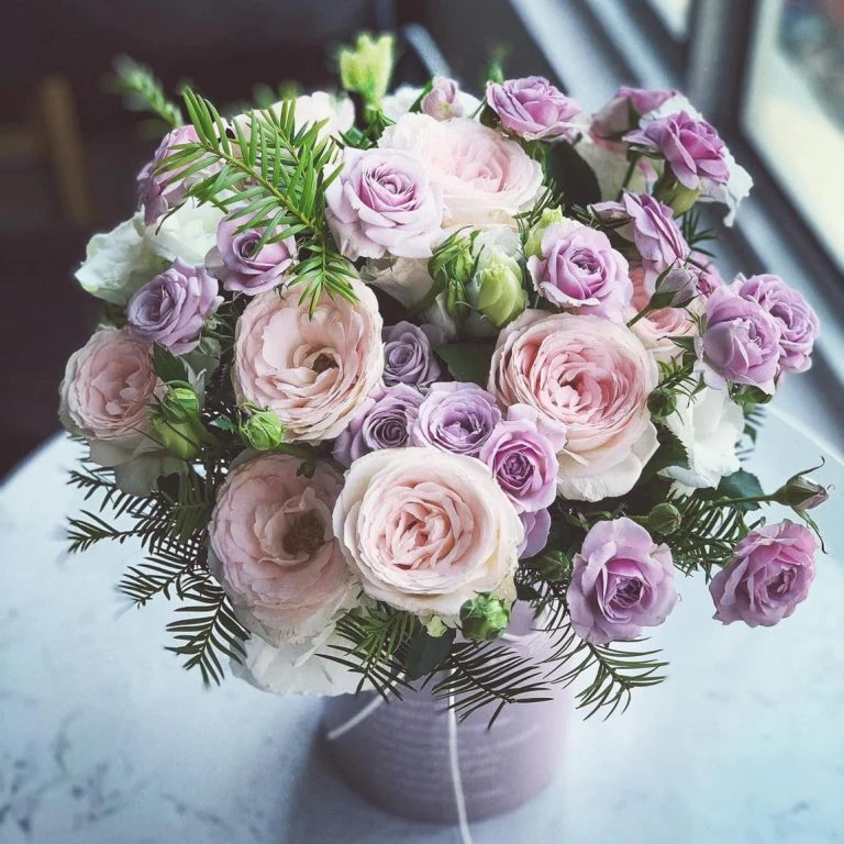 Hoa Hồng Tím: Giải mã sức hút bí ẩn và ý nghĩa trong tình yêu