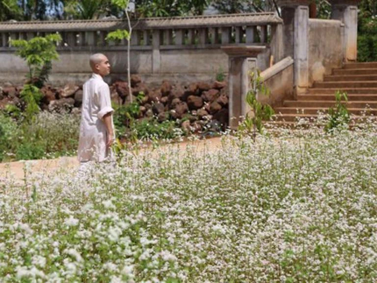 Top 24 vườn hoa Đà Lạt đẹp mê ly được du khách yêu thích nhất 2024