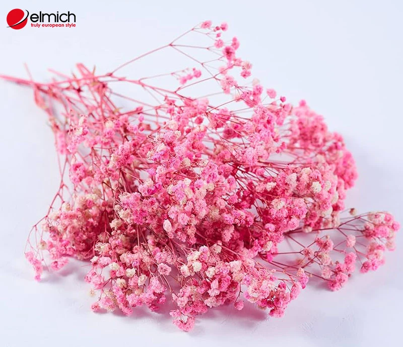 Hé lộ nguồn gốc và tất cả ý nghĩa của hoa baby không phải ai cũng biết