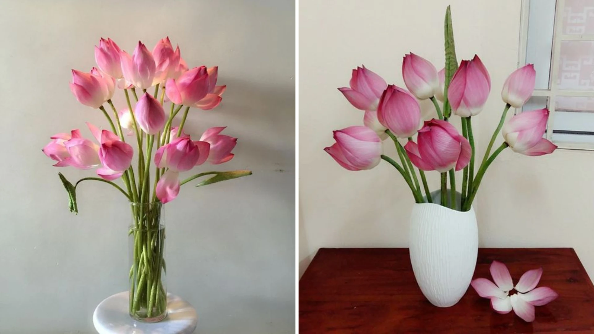 Cắm hoa sen tạo không gian sống thanh bình