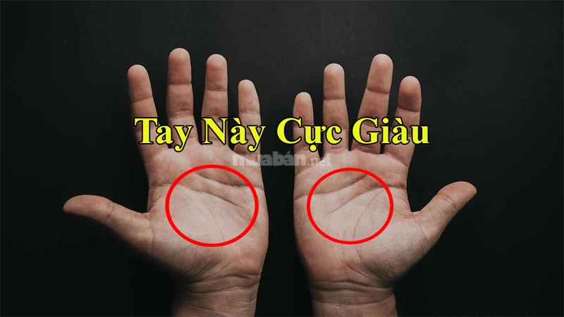 Ý nghĩa 4 đường chỉ tay hiếm gặp chỉ có ở người định sẵn số phú quý