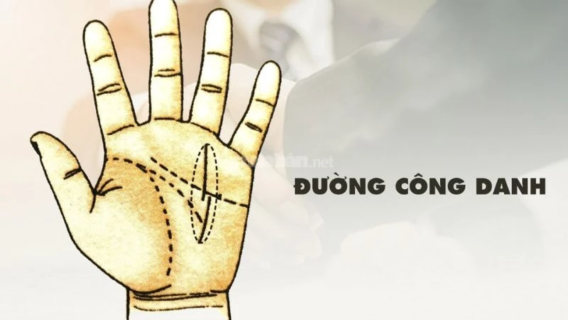 Ý nghĩa 4 đường chỉ tay hiếm gặp chỉ có ở người định sẵn số phú quý