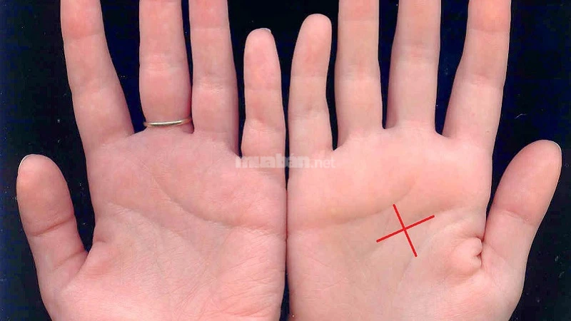 Ý nghĩa 4 đường chỉ tay hiếm gặp chỉ có ở người định sẵn số phú quý