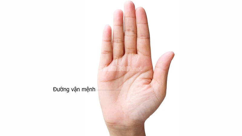 Ý nghĩa 4 đường chỉ tay hiếm gặp chỉ có ở người định sẵn số phú quý