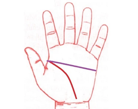 Khám Phá Bàn Tay Chữ Nhất Ở Nữ Giới