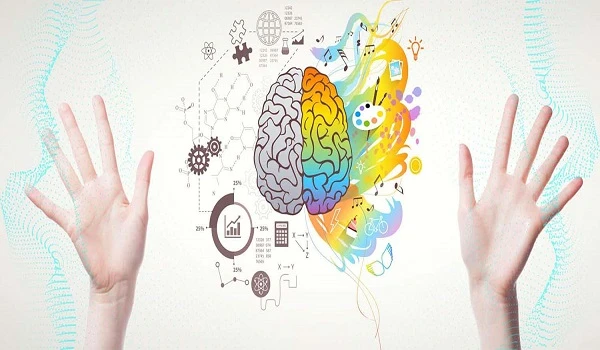 Phân Tích Các Chủng Vân Tay Dựa Trên Công Nghệ Hiện Đại