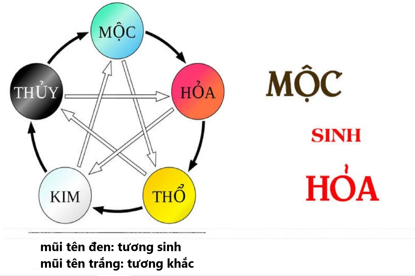 Mộc Sinh Hỏa và Tương Tác Trong Thuyết Ngũ Hành